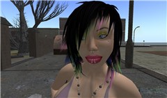 Snapshot_039