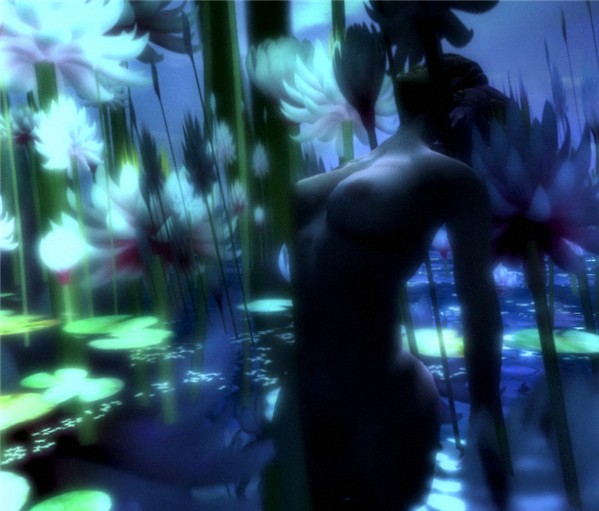 lilly pond