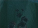 a starfish face.. Kinda