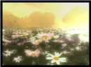 Sunny