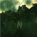 Ruta Maya rain forest