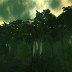 Ruta Maya rain forest
