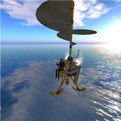 heli1