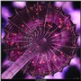 Galactica (interpretation of a build by Miki Gymnast)