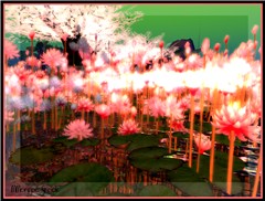 tempura_050 copy