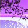 Again windlight