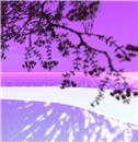 Again windlight