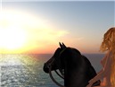 sunset ride