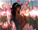 Amongst The Waterlilies