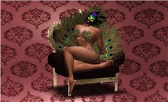 Peacock Boudoir (1 of 2)