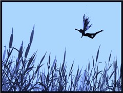 reed fairy