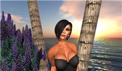 The beach