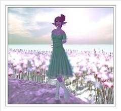 7-7 Blog 1