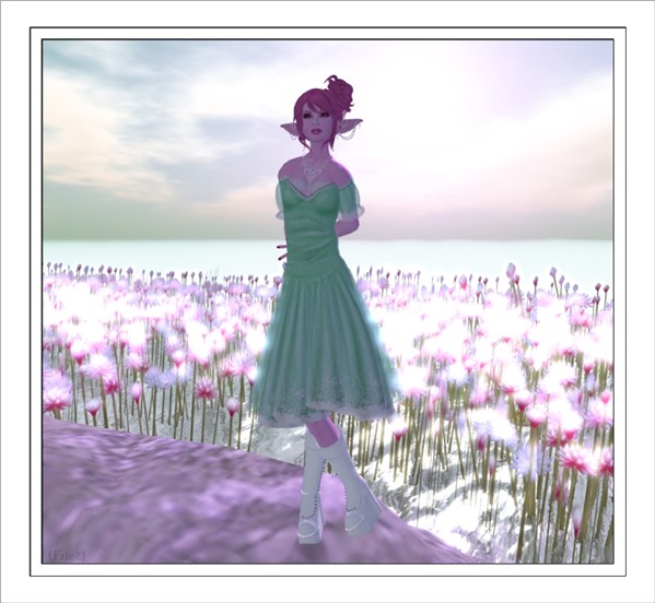7-7 Blog 1