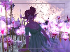 7-7 Blog 2