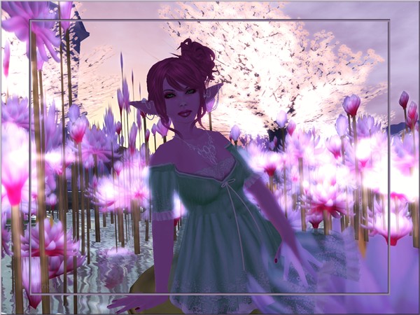 7-7 Blog 2