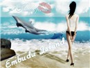 Postcard big