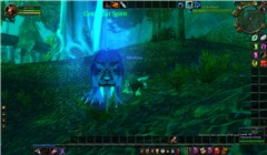 More Wow