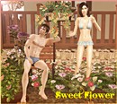Sweet Flower