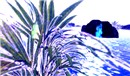 House_002