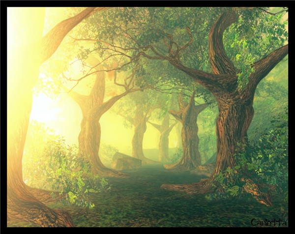 Morning Sun