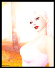 The Look1