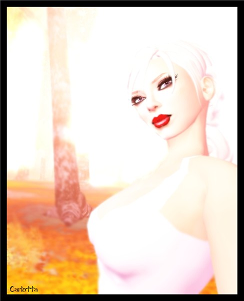 The Look1