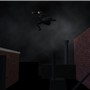 The Crow_Leap