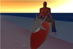 we surf