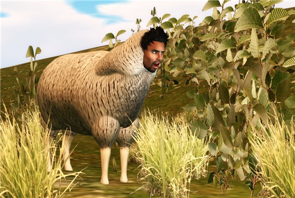 BAAAAAAAAH!
