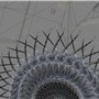 Geometrical Curves