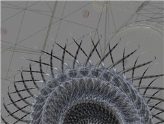 Geometrical Curves