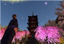 見上げる