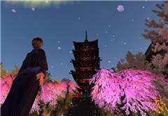 見上げる