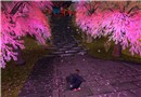 じっと桜を