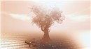 chouchou_007