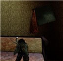 Hide-and-Seek