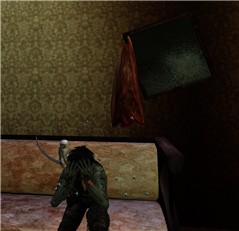 Hide-and-Seek