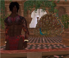 Peacocks