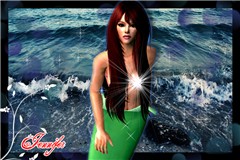 jennifer sirena