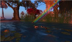 water 1_003