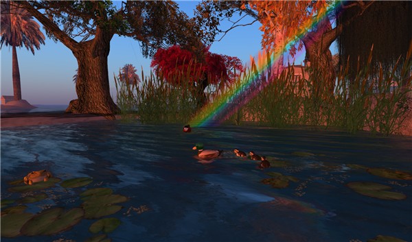 water 1_003