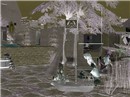 snapshot_94fdaa40_d582bdd8