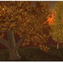 Autumn Sunrise2