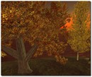 Autumn Sunrise2
