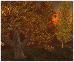 Autumn Sunrise2