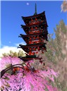 gion_003