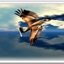 FLIGHT 