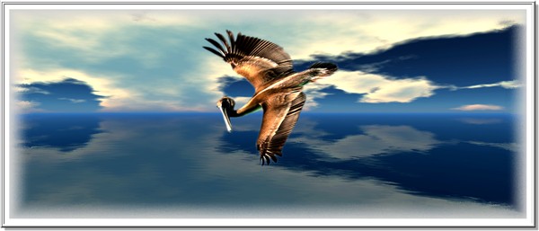 FLIGHT 