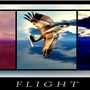FLIGHT ( redux )